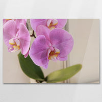 AC-090W060