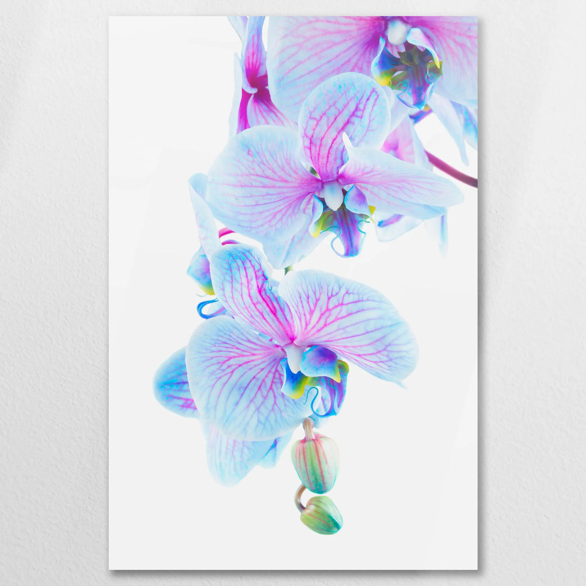 AC-060W090