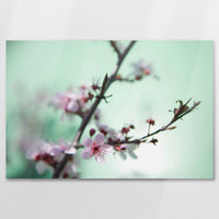 AC-075W050