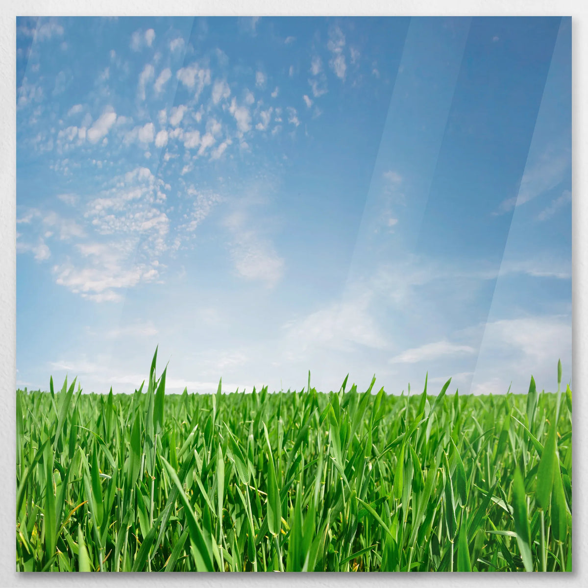 AC-080W080