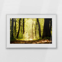 PSP093W062