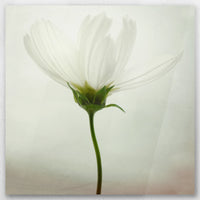 AC-030W030