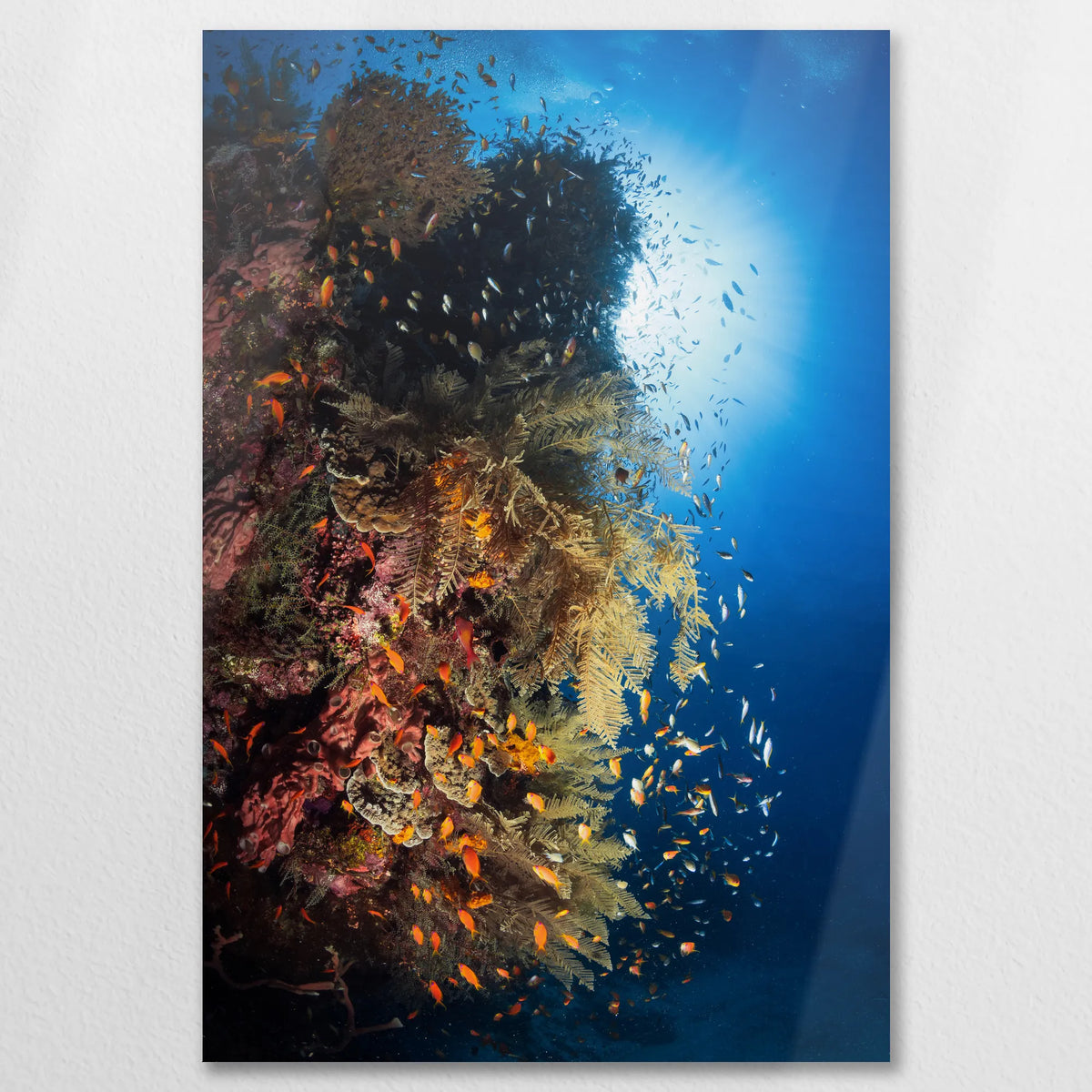 AL-080W120