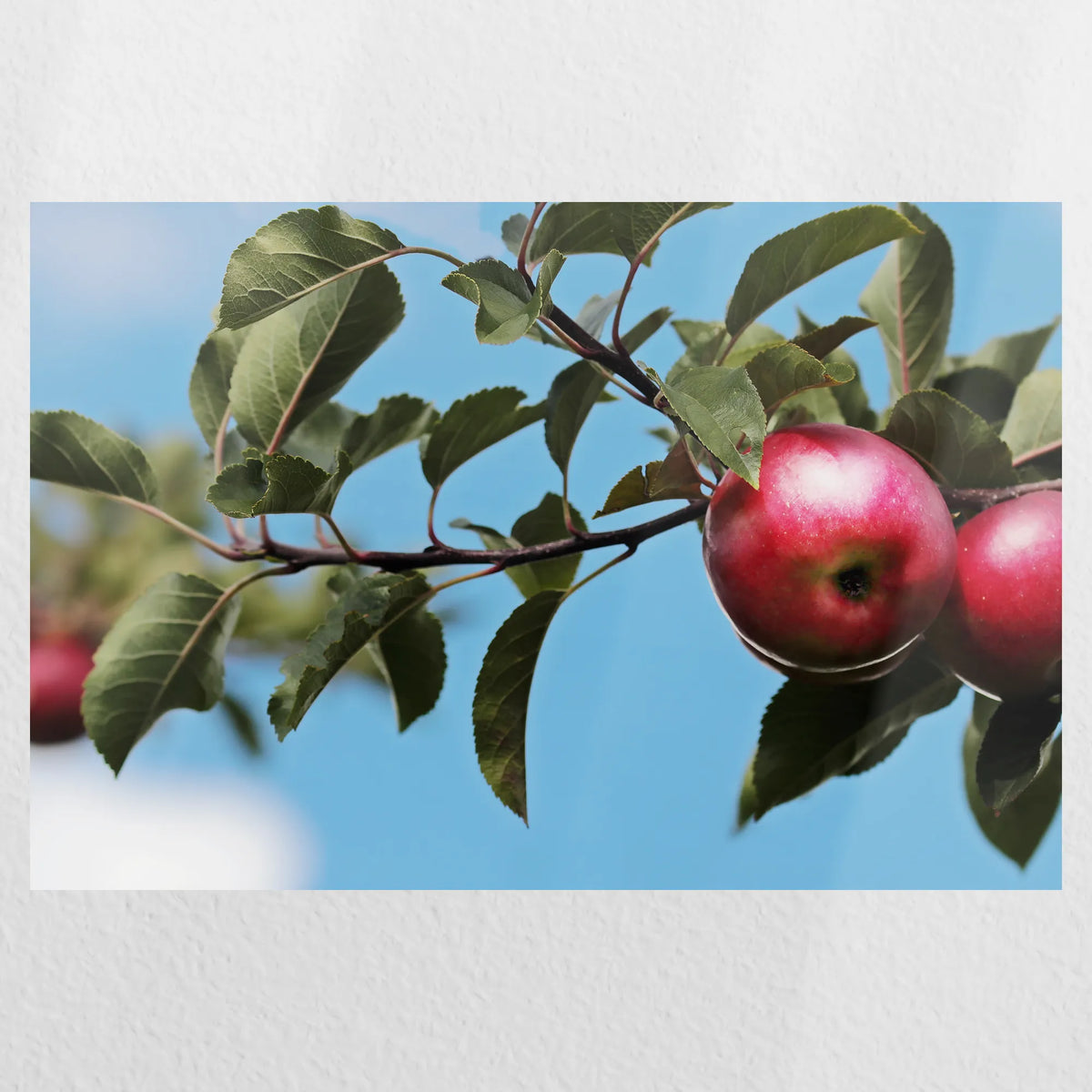 PO-030W020
