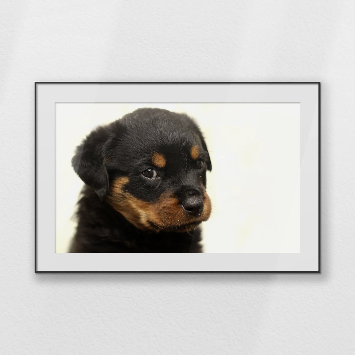 PBP120W080
