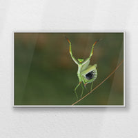 LWW120W080