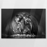 AC-075W050