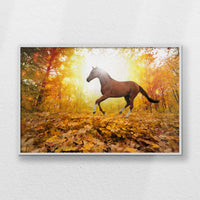 LWW120W080