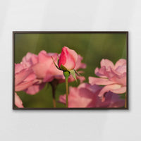 LWN100W070