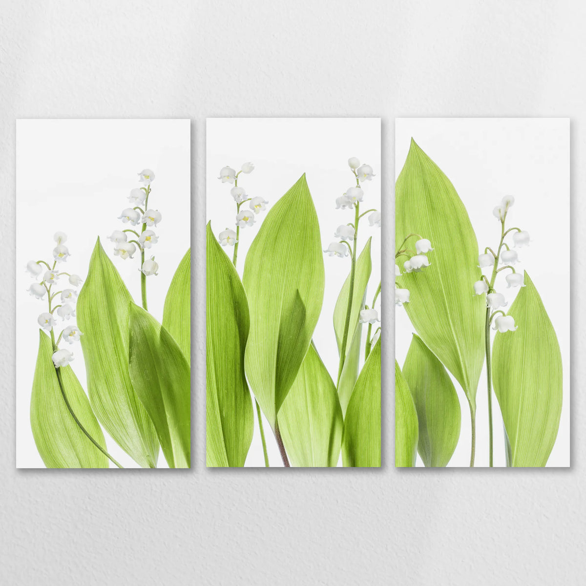 AC-150R100