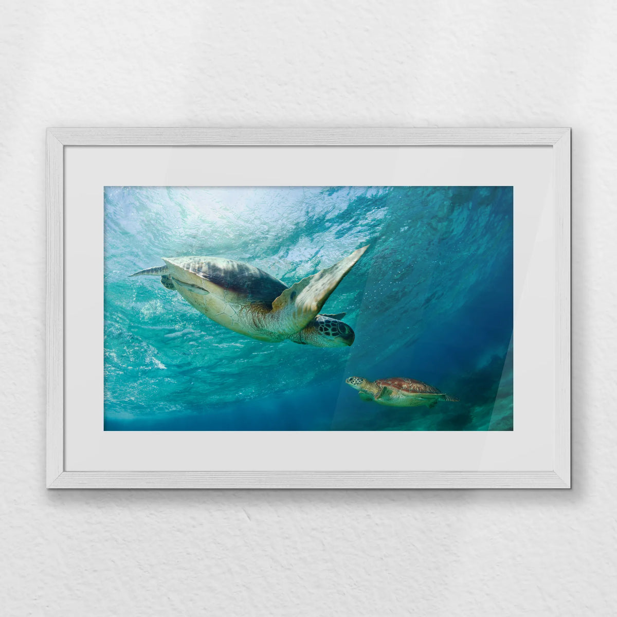 PWP060W040