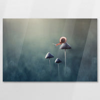 AC-075W050