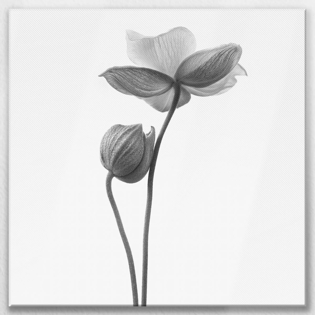 LW-070W070