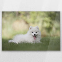 AC-060W040