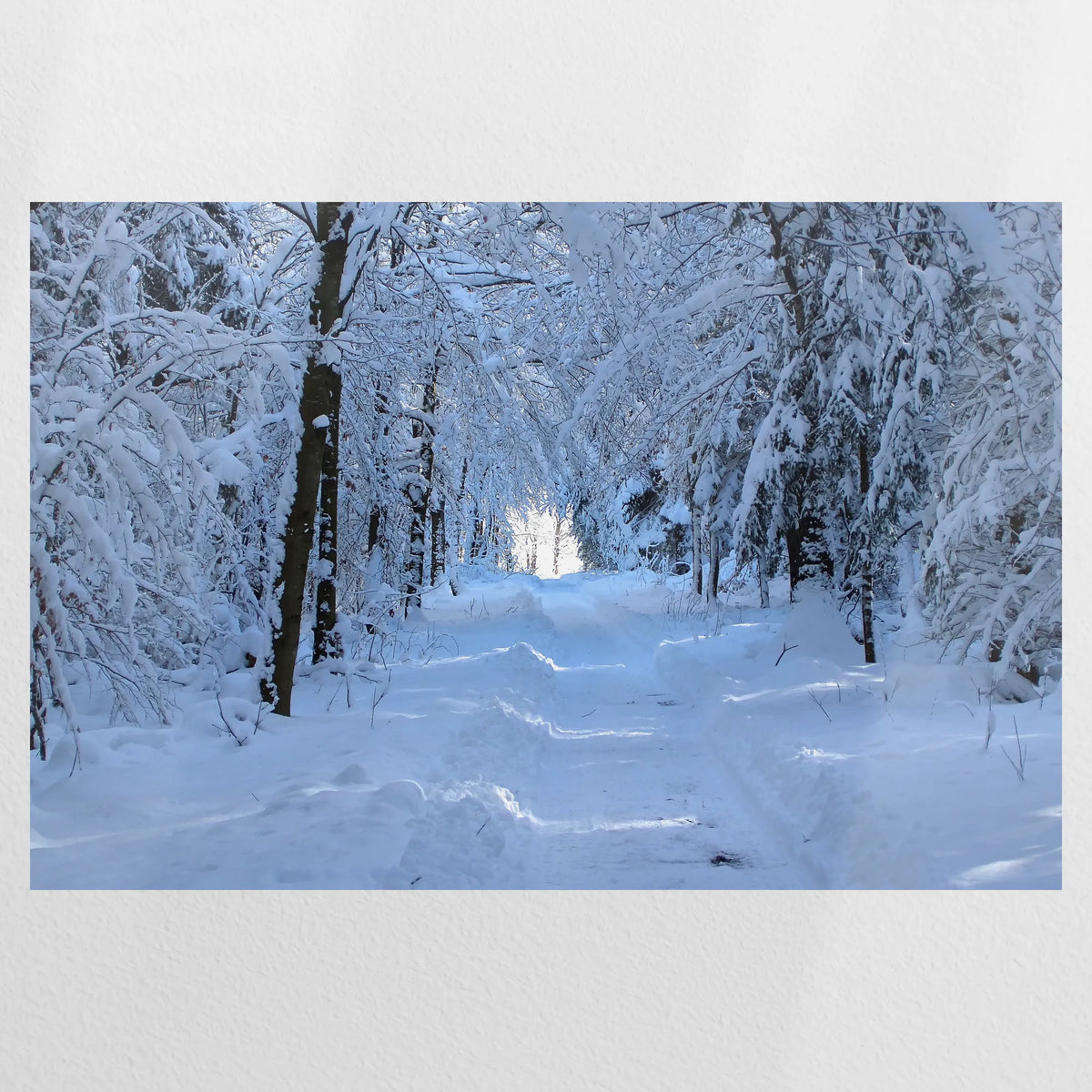 PO-075W050