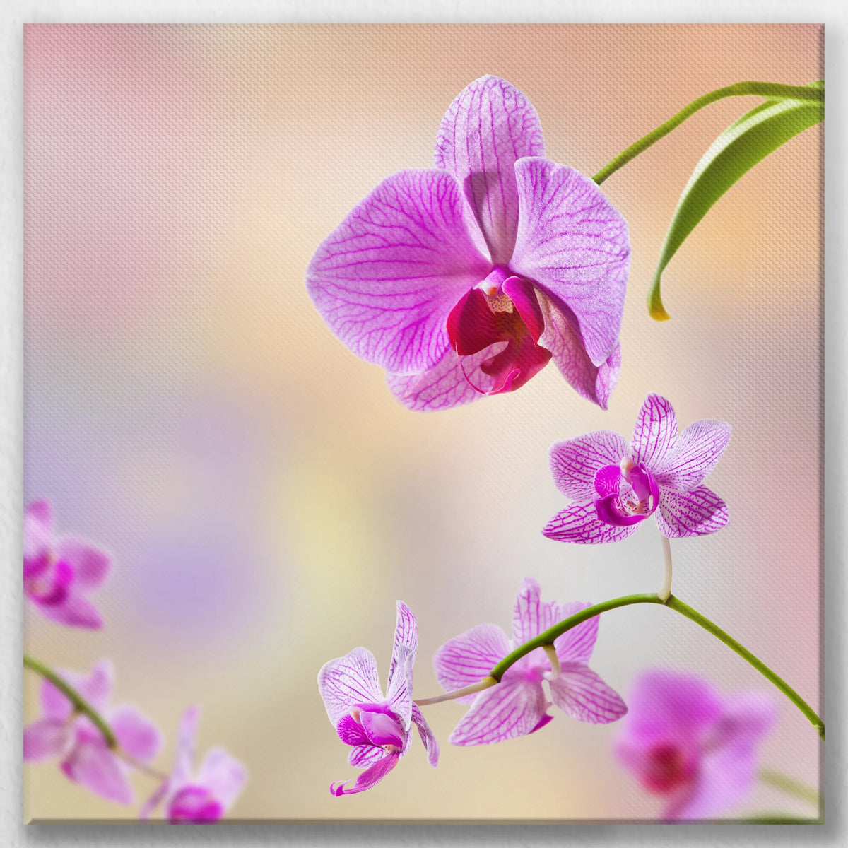 LW-050W050