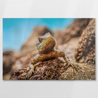 AC-090W060