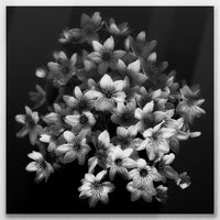 LW-090W090