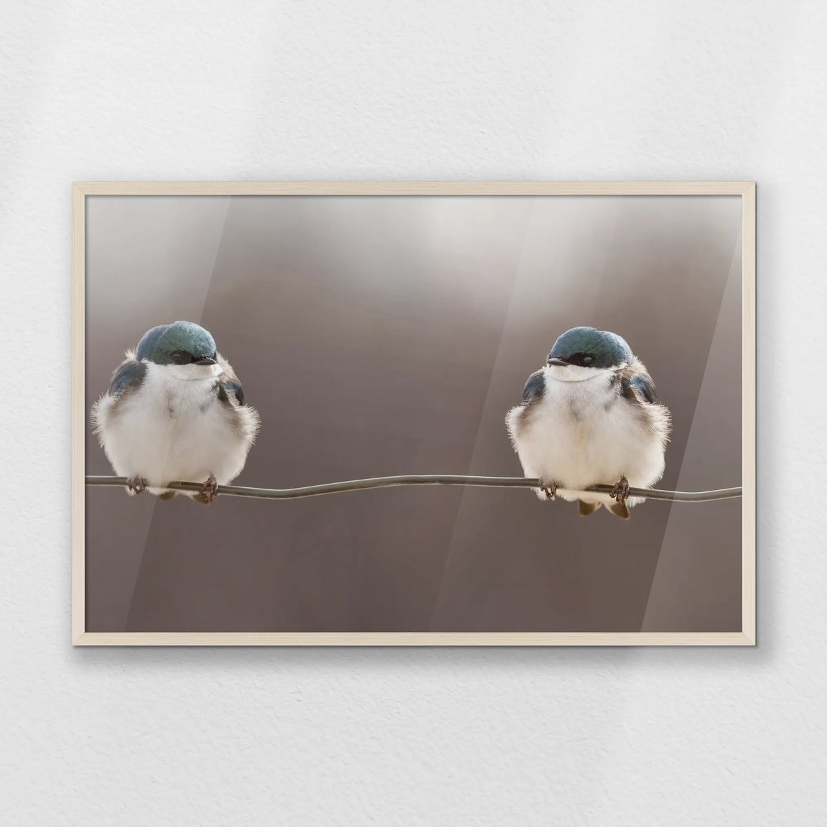 PN-093W062