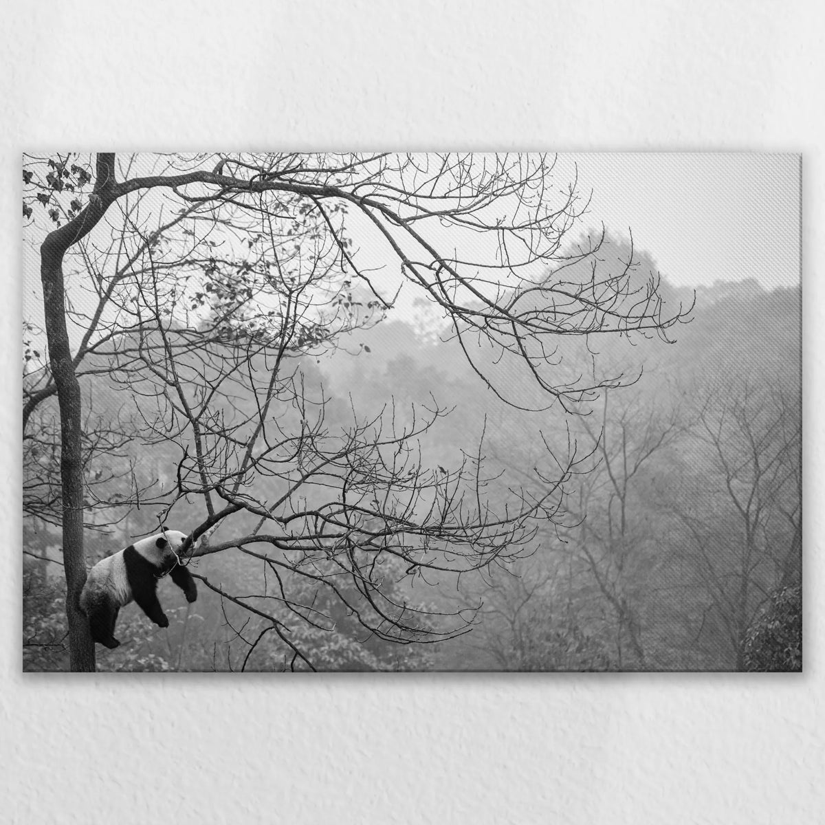 LW-120W080