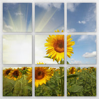 LW-270Z270