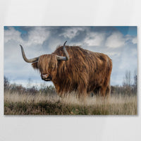 AL-075W050