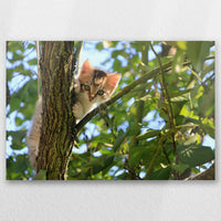 AC-045W030