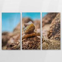 AL-090R060