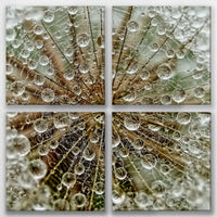 LW-100V100