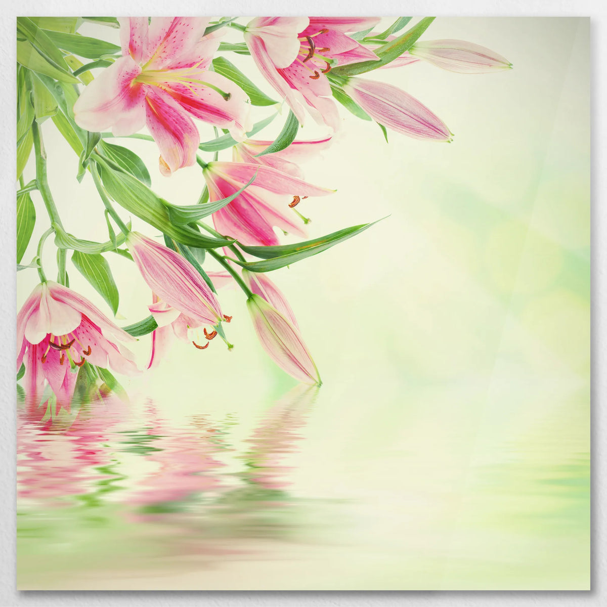 AC-080W080