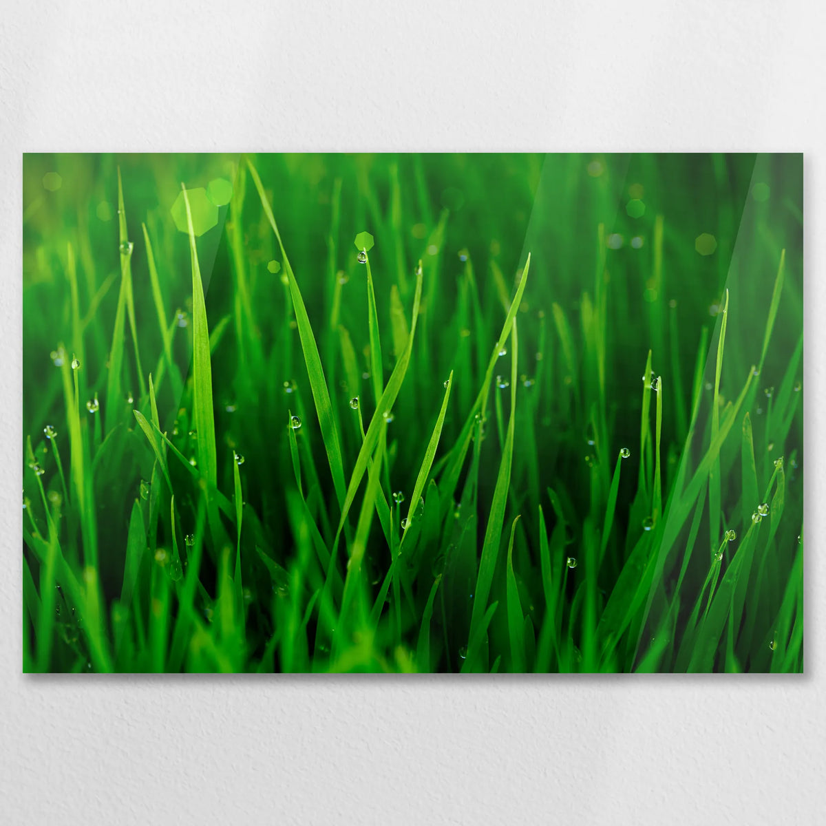 AC-075W050