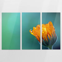 AL-180R120