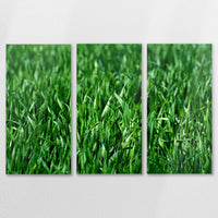 AC-150R100