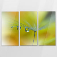AC-120R080