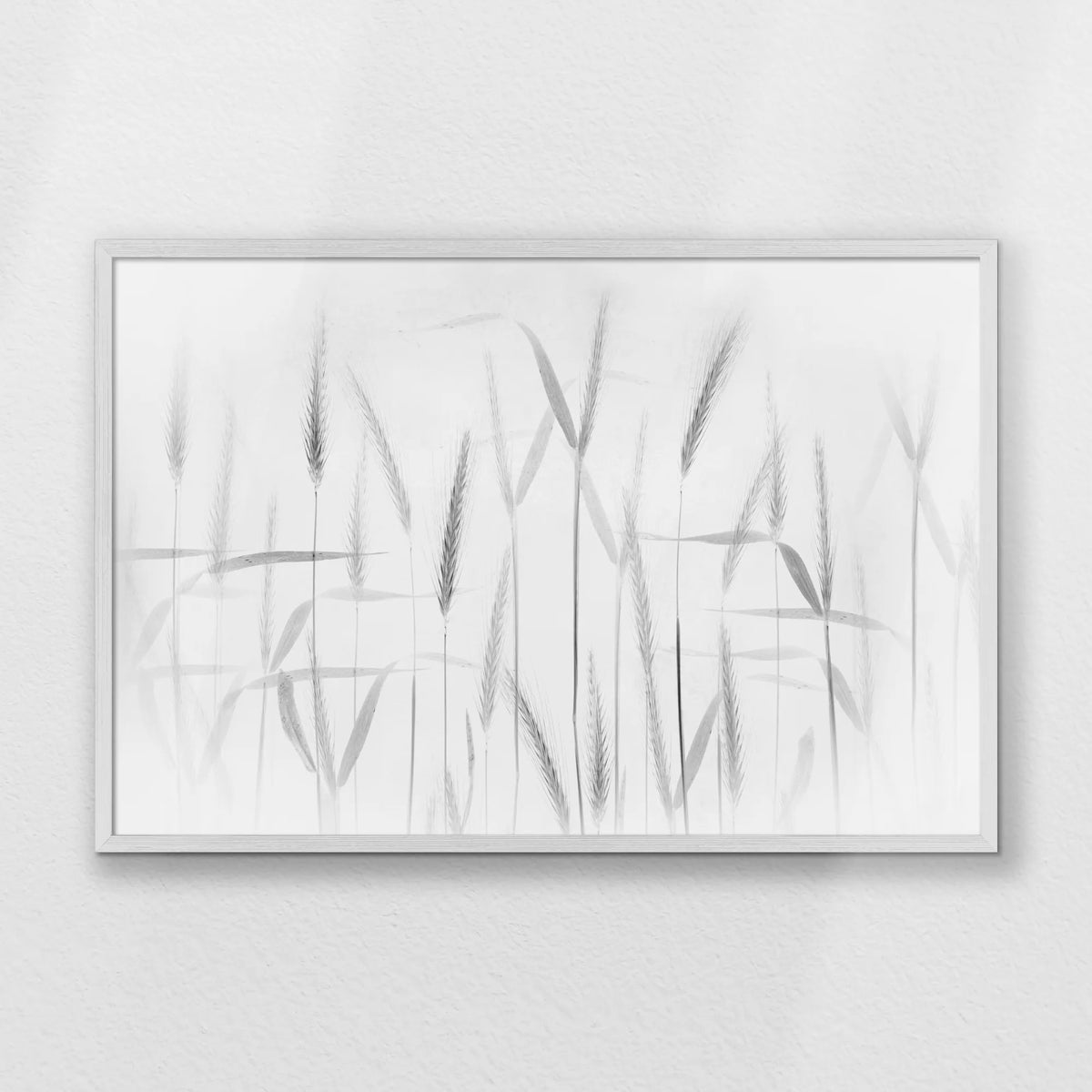 PW-093W062