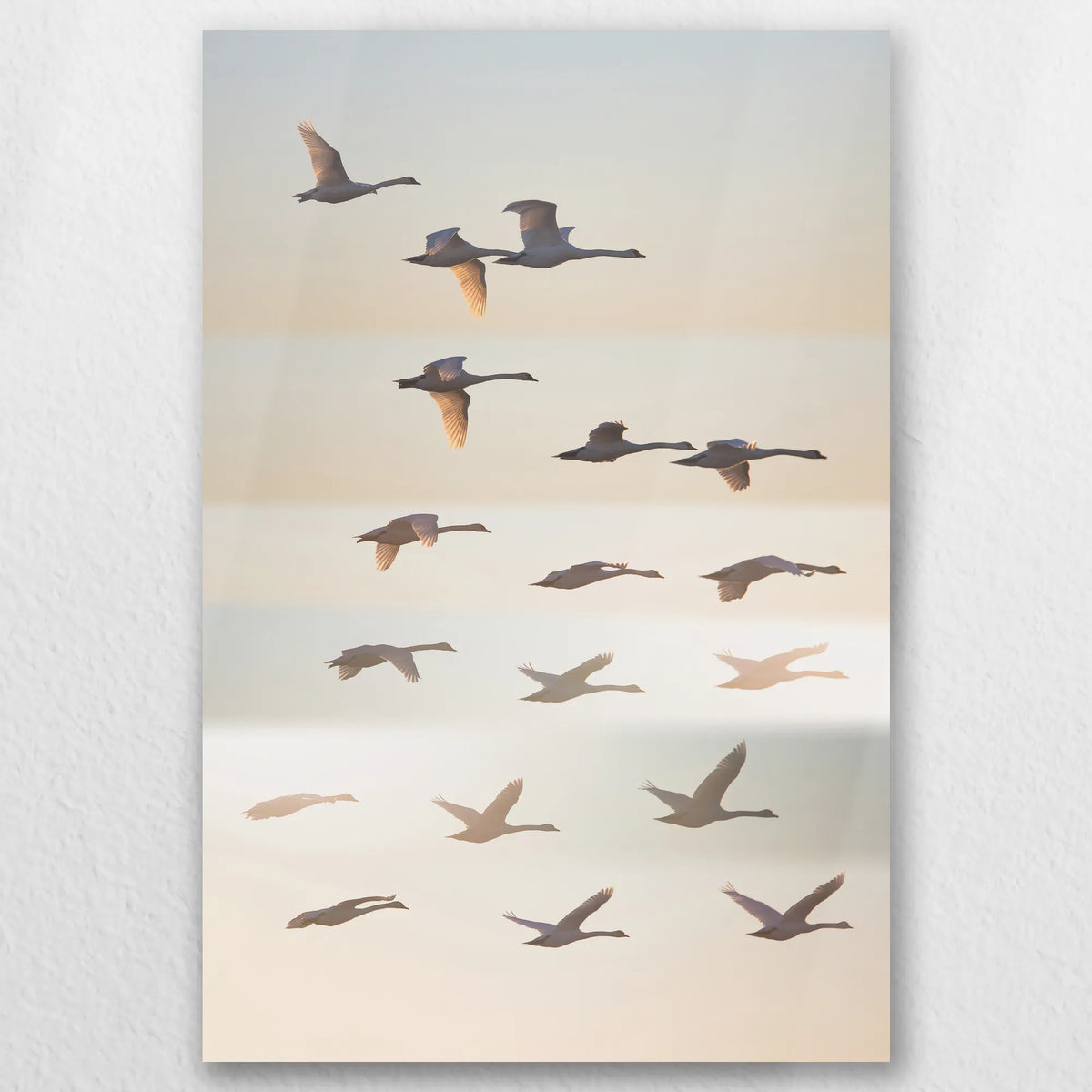 AL-030W045