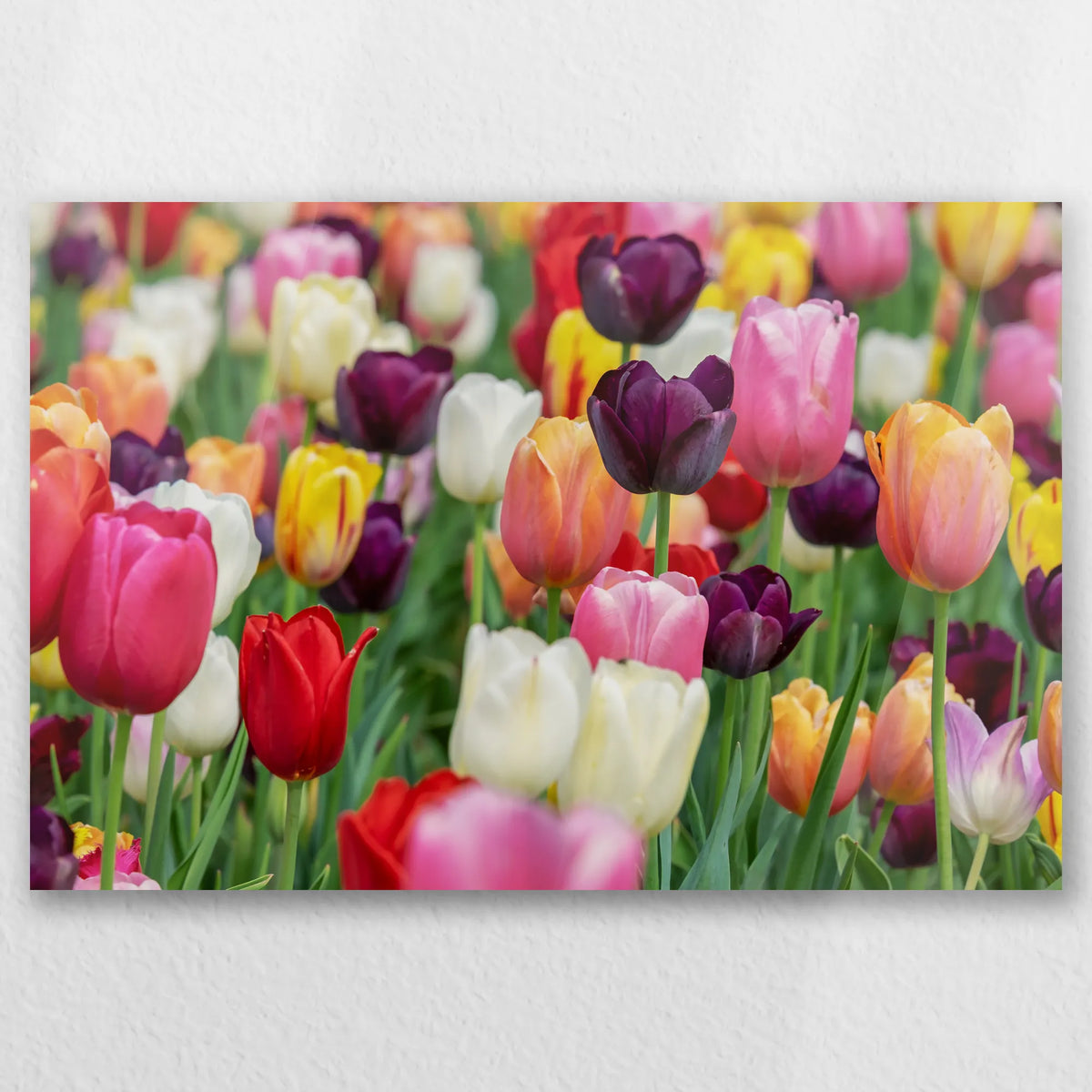 AC-045W030