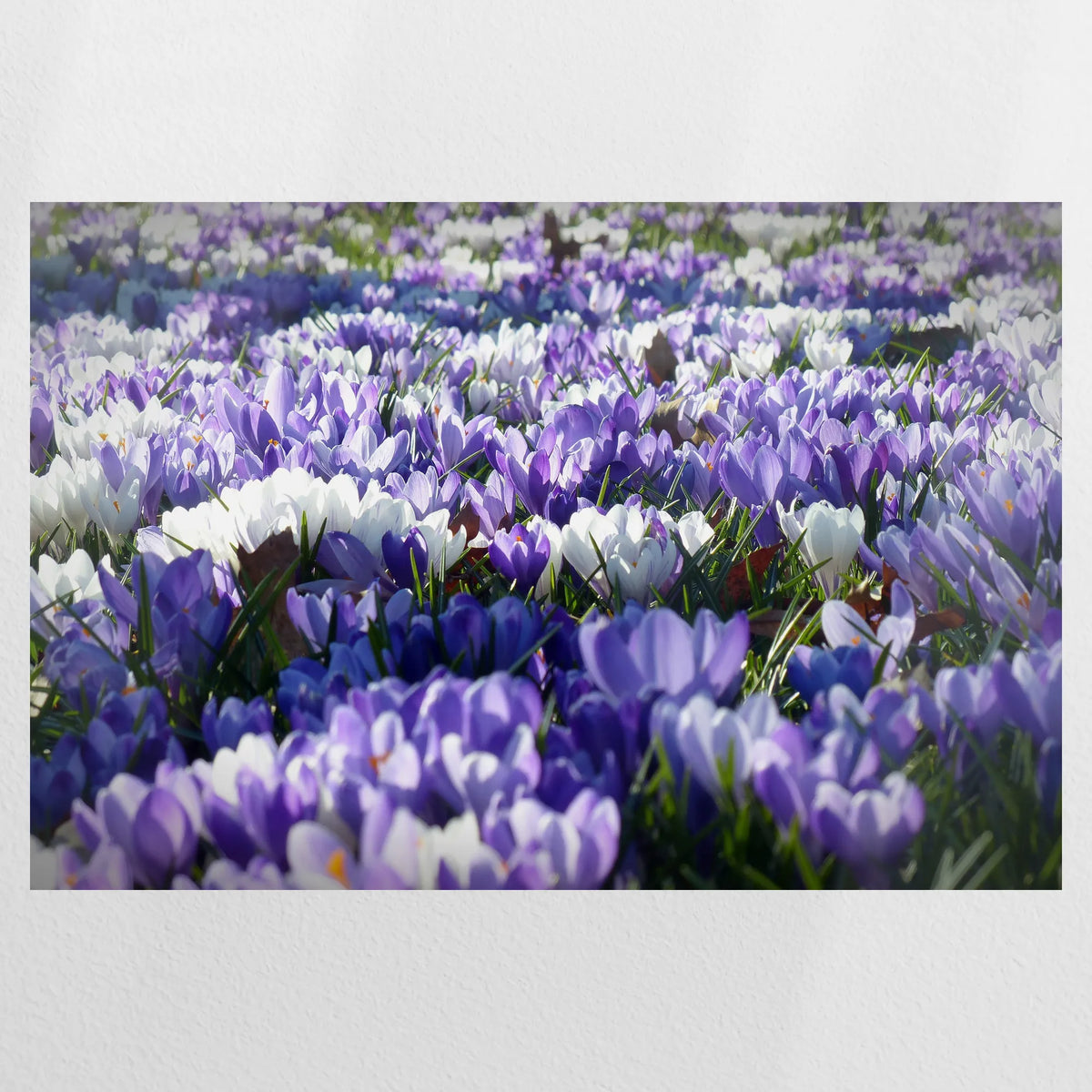 PO-090W060