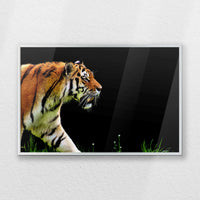 PS-060W040