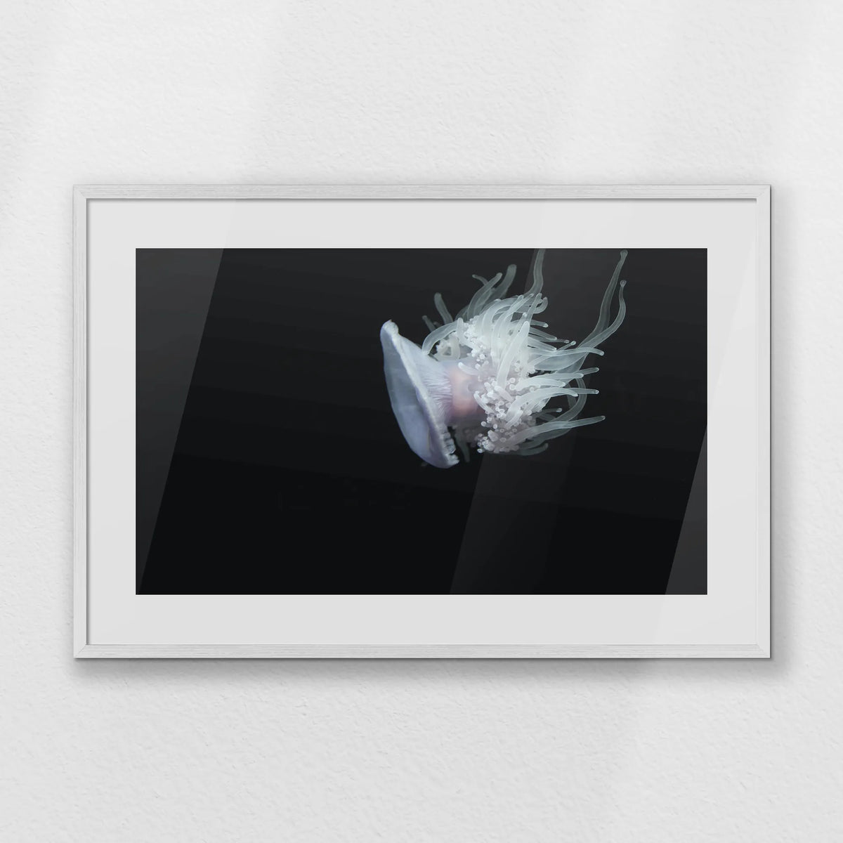 PWP093W062
