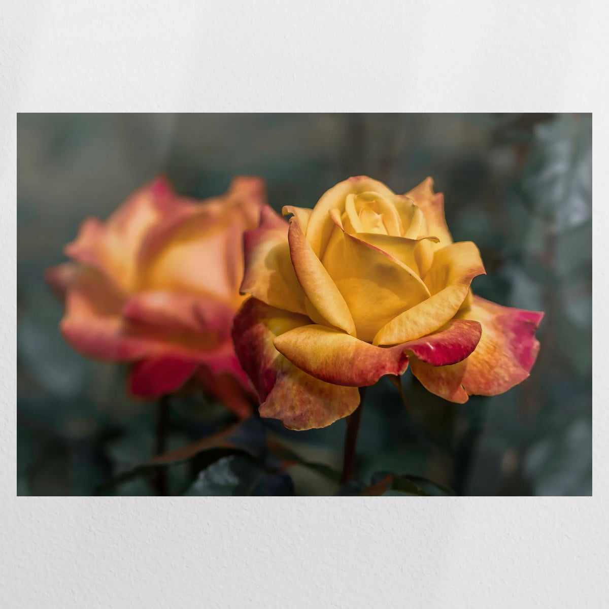 PO-090W060