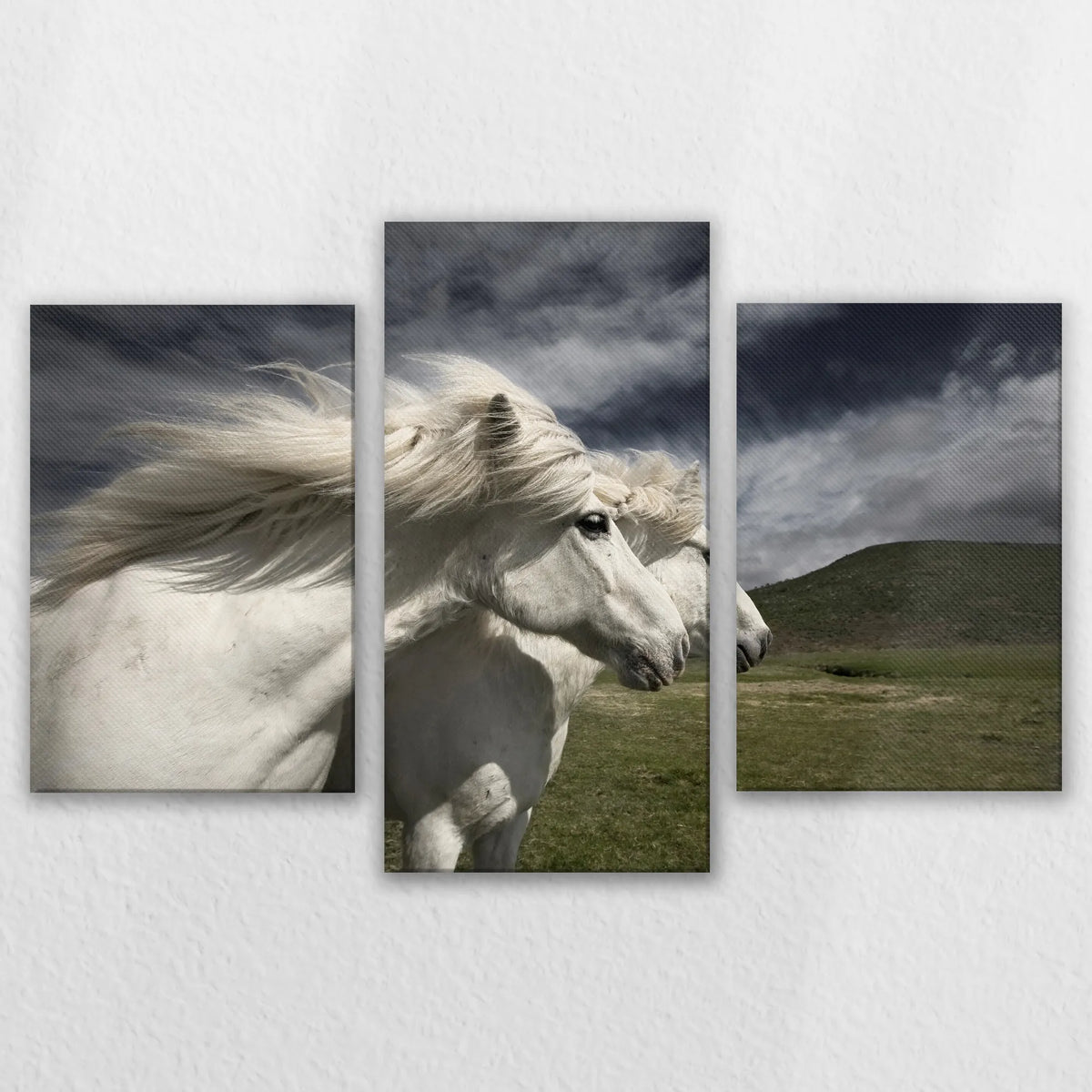 LW-120T080