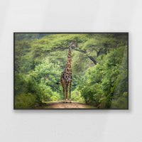 PB-093W062