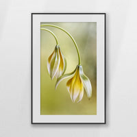 PBP062W093