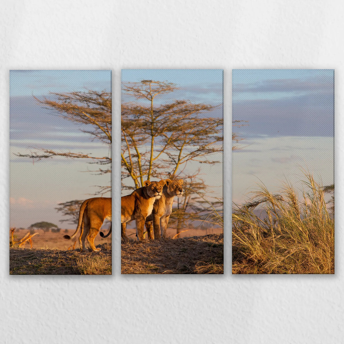 LW-120R080