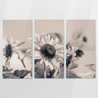AC-180R120