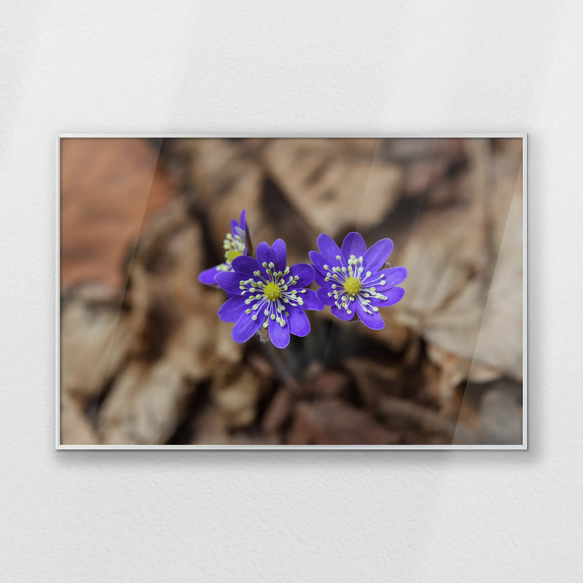 PS-093W062