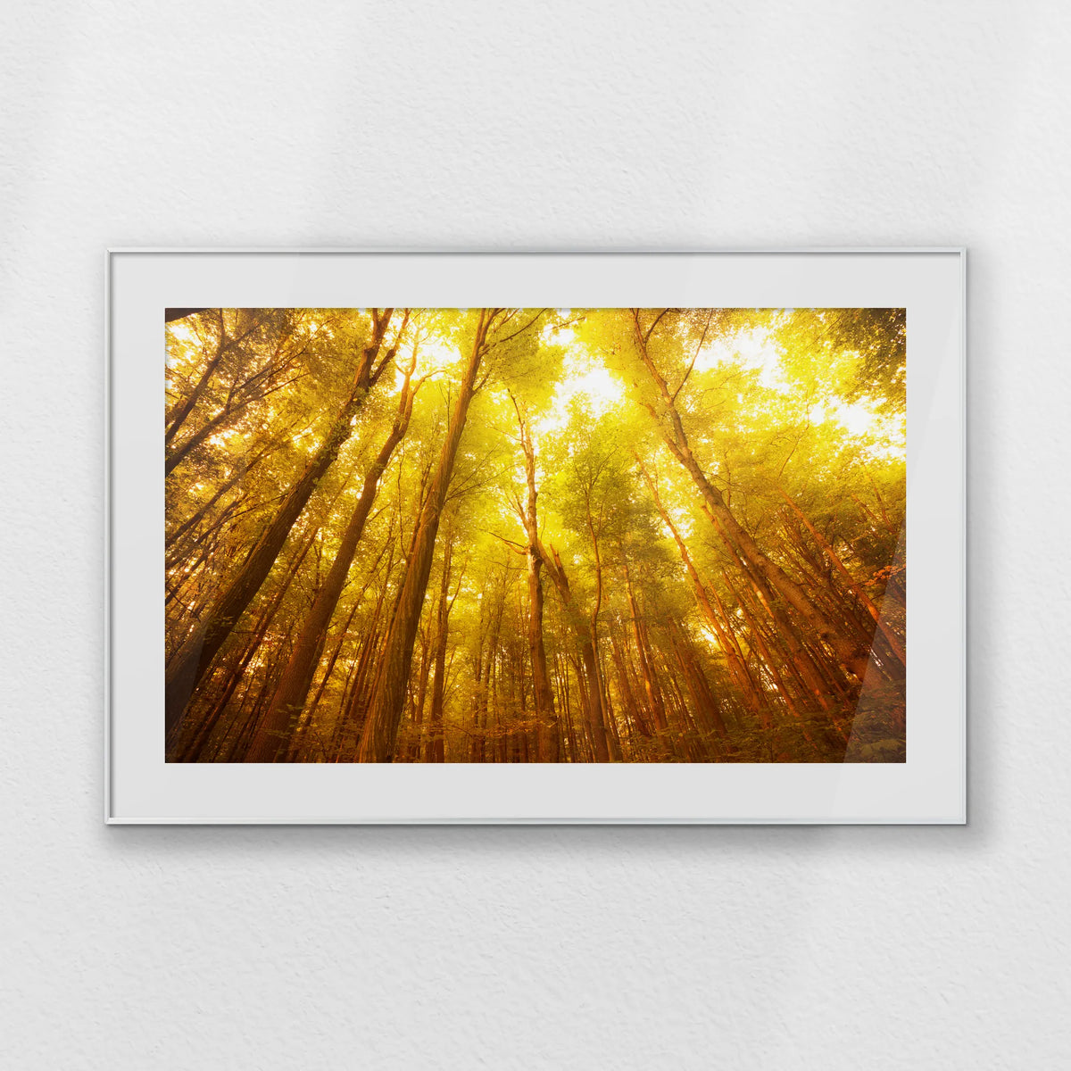 PSP120W080