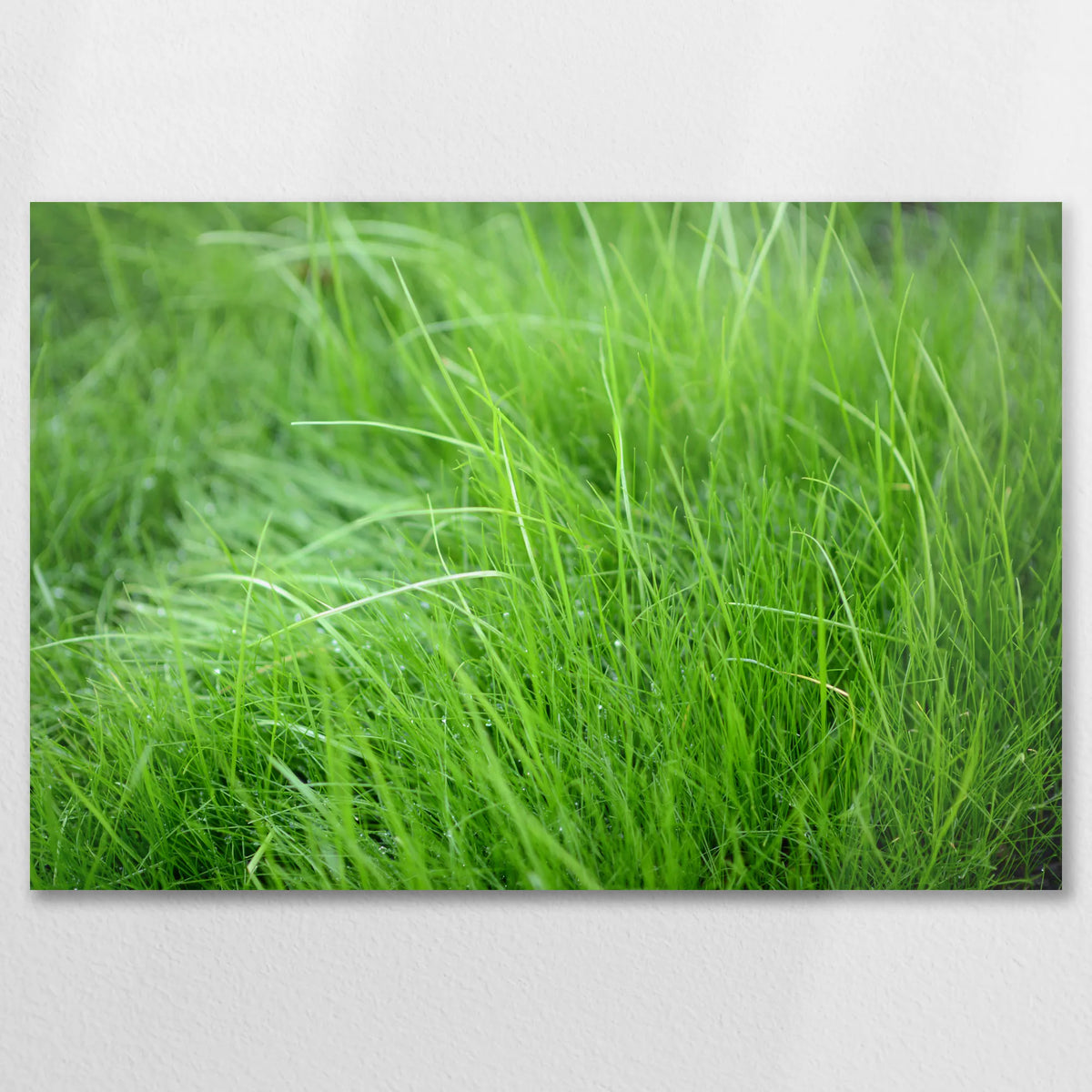AL-090W060
