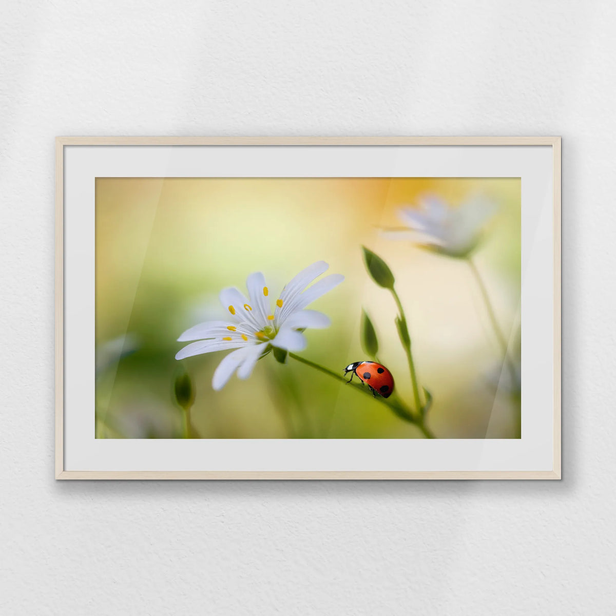 PNP100W070